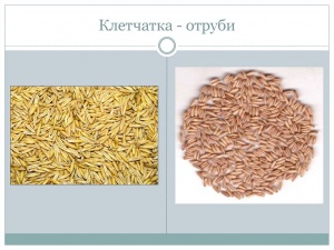 Отруби это клетчатка или нет?