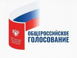 Референдум Конституция 2020 - кто как голосует по поправкам и почему?