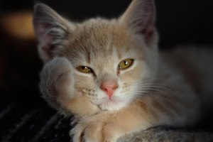 Что делать если скучно?