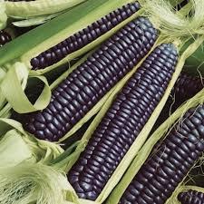 Действительно ли то, что синяя кукуруза борется с ожирением?