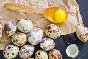 Чем перепелиные яйца полезны для человека?