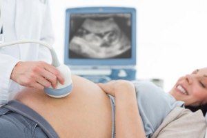 На каком сроке беременности можно узнать пол?