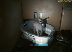 Где в Cyberpunk 2077 найти кота и как приютить его в доме Ви?