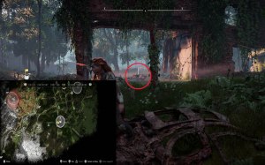 Какие есть коллекционные предметы в Horizon Zero Dawn?