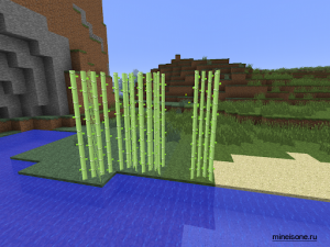 Как выращивать тростник Minecraft PE?