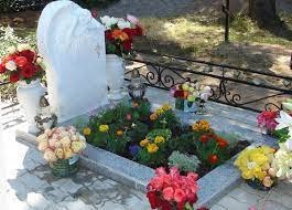 Какие цветы можно садить на могиле?