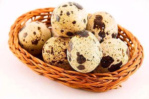 Какие полезные свойства у перепелиных яиц?