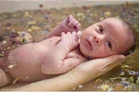 В каких полезных травах рекомендуется купать новорожденного?