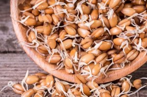 В чем польза пророщенной пшеницы?