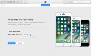 Как синхронизировать iPhone с iTunes?