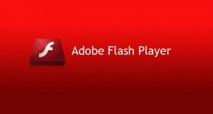Как установить Adobe Flash Player?