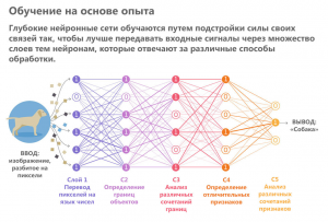 Какие российские нейронные сети по генерации контента посоветуете?