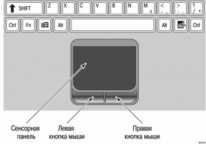 Бескнопочный тачпад на ноубуке. Как с ним работать?