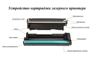 Как выбрать правильный картридж дл принтера?