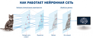 Почему большинство вариантов капчи, нейросеть не в состоянии решить?