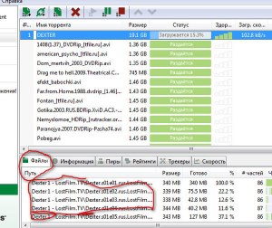 Utorrent не может загрузить файл размером больше 1 гб. Что делать?