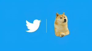 Какой породы собачка появилась в Твиттере вместо голубой птички?