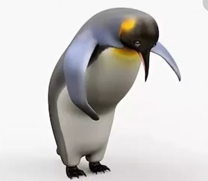 Мем "Благодарный пингвин" ( Пингвин кланяется) - что значит, происхождение?