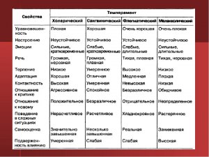 Пентестер, что это за понятие и какие особенности ему присущи?