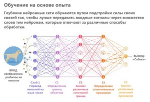 На каком сервисе проверять поддельный текст от ИИ нейросети?