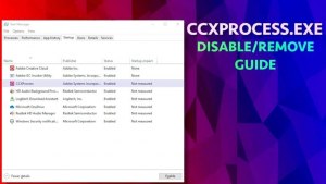CCXProcess, что это за файл? Как удалить?