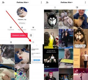Как посмотреть видео в Тик Токе, которое пролистнул?