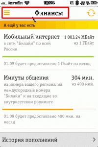 Где в Билайн посмотреть все потраченные минуты и ГБ за год?
