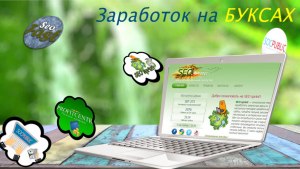 Как заработать на буксах в интернете?