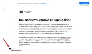 В какое время лучше публиковать статьи на Яндекс дзен?