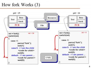 Что такое форк(fork) в программировании?