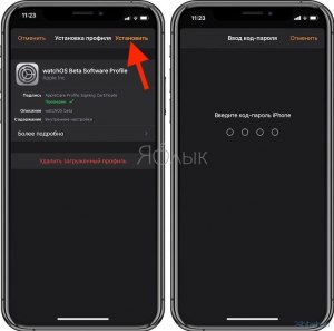 Почему на Apple Watch 7 не отображаются фото в WhatsApp?