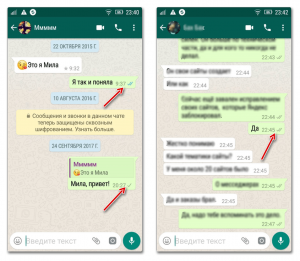 Что значат галочки на текстовом сообщении в WhatsApp серая/синяя/двойная?