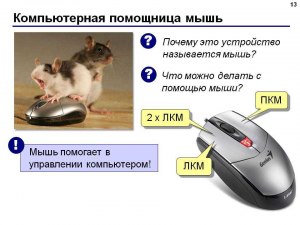 Что не так с компьютерной мышью?