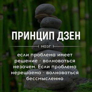 Кто-то сидит на Яндекс Дзен? Как вам сеть? Кого там читаете?