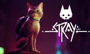 Что за игра о симуляторе бродячего кота Stray?