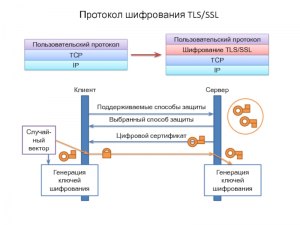 Что такое TLS шифрование?