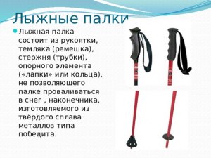 Как раньше в некоторых областях России иногда называли лыжную палку?
