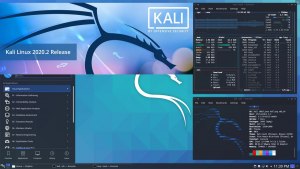 На какие задачи ориентирован Kali Linux?