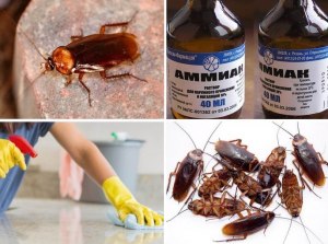 Как избавиться от тараканов в "Симс 4", как убрать тараканов?