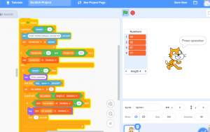 С какого возраста отдавать ребенка на курсы программирования в Scratch?