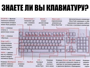 Может ли дефект шлейфа на клавиатуре влиять на работу некоторых клавиш?