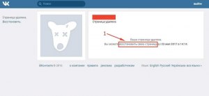 Сколько раз можно удалять и восстанавливать свою страницу ВКонтакте?