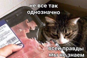 Что это за мем "не все так однозначно"? Кто использовал его первым?