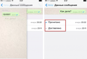 Покажет ли что сообщение прочитано в Ватсап, если отключен интернет?