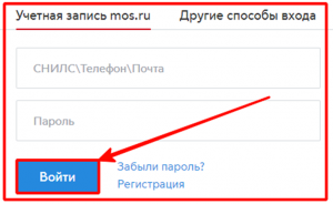Что значит полная учетная запись на mos.ru?