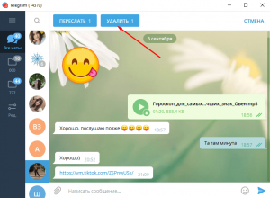Может ли собеседник удалить диалог в Телеграме у себя и у меня тоже?