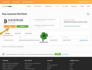 Как с сайта NiceHash вывести биткойны?