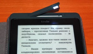 Можно ли в электронной книге PB741-N-RUS изменять цвет подсветки?