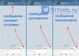 Почему в телеграмме галочки разного цвета? Какого цвета галочки в Telegram?