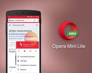 Как в Opera Mini на андроиде убрать опцию "футбол"?